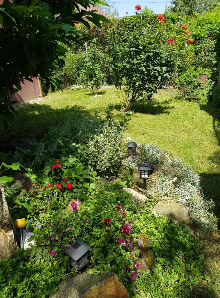 Daróczi-Dajka Hajnalka kertje 05